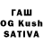 Канабис White Widow Aslan Kasymov