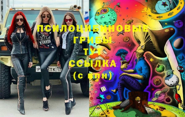МДПВ Магас
