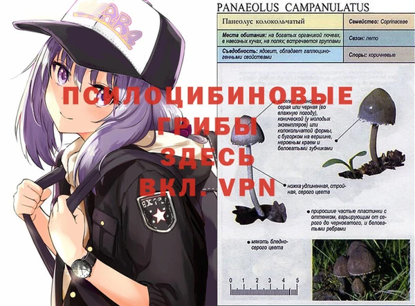 МДПВ Магас