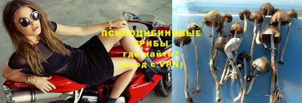 МДПВ Магас