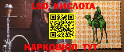 СК Кингисепп