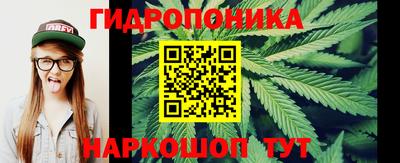 индика Кимры