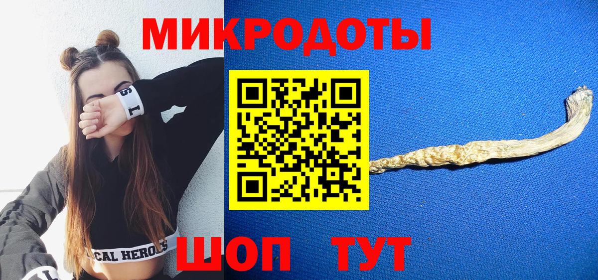 Псилоцибиновые грибы мицелий Тихорецк